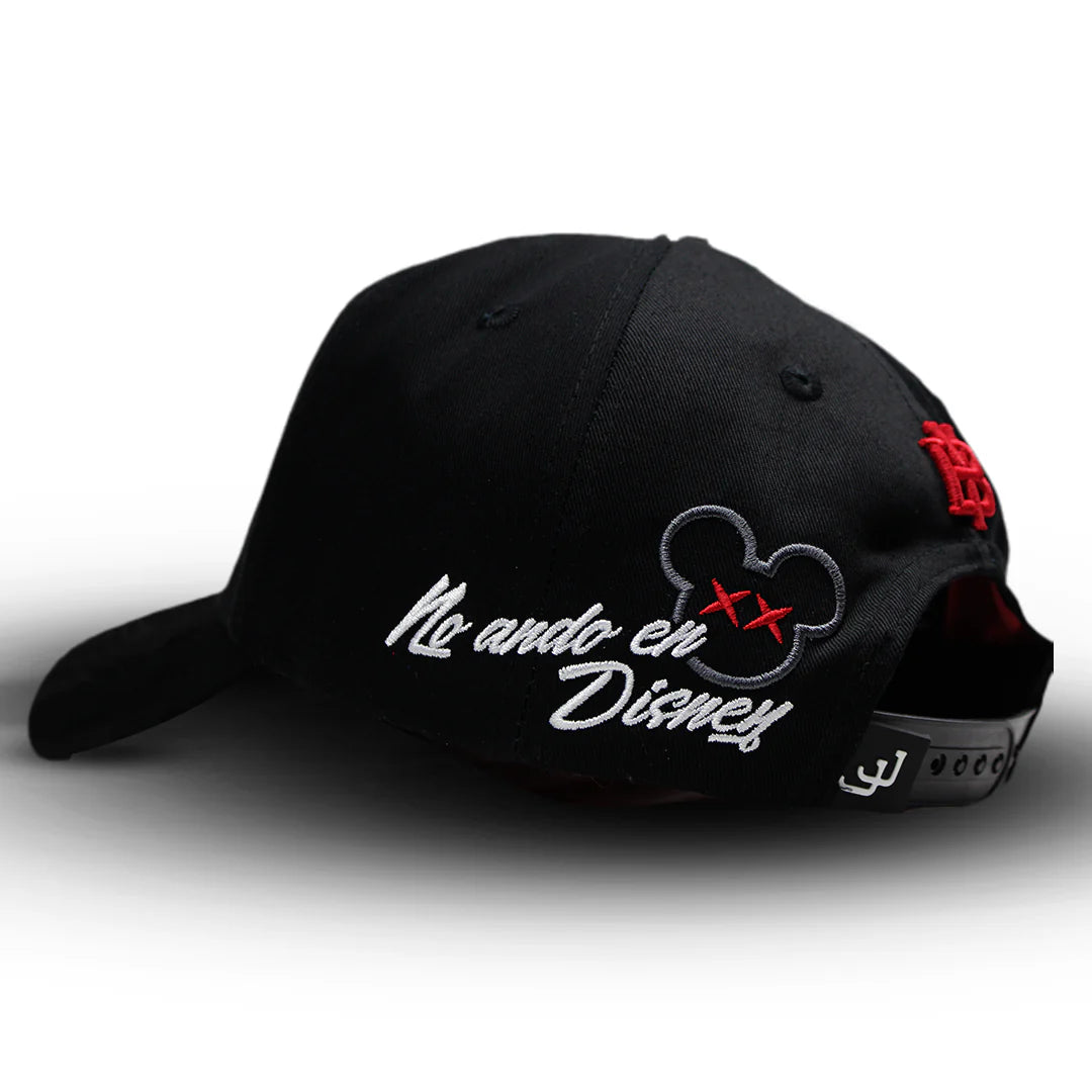 NO ANDO EN DISNEY